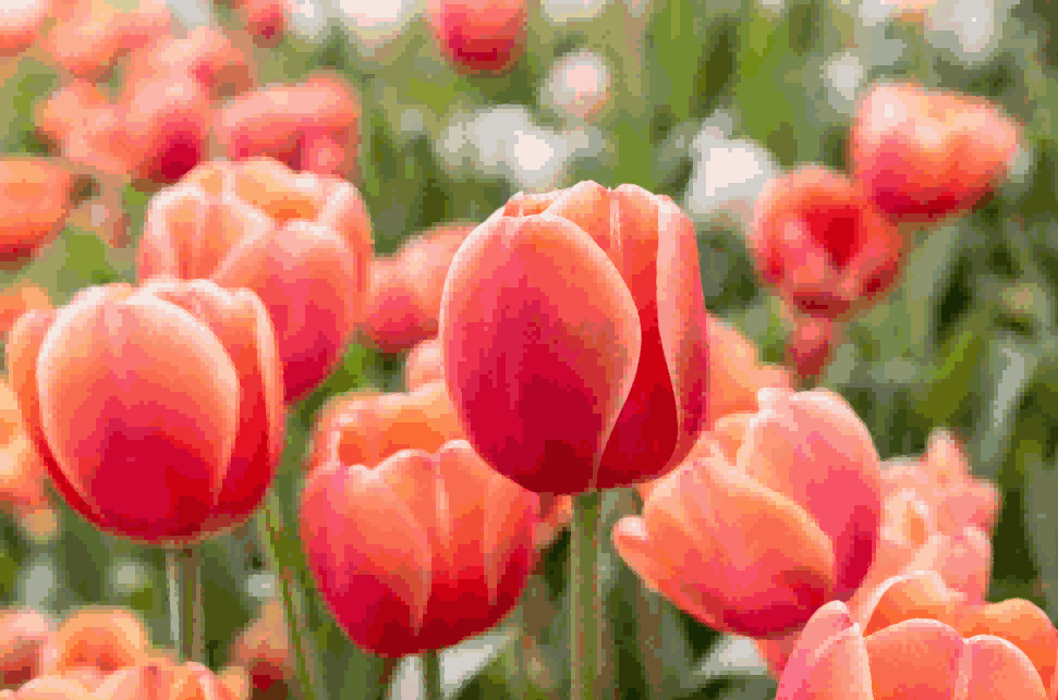 海关数据,EVO视讯官网海关数据,荷兰海关数据 海关数据,EVO视讯官网海关数据,荷兰海关数据